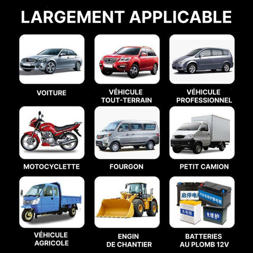 Chargeur De Batterie Pour Voiture Professionnel